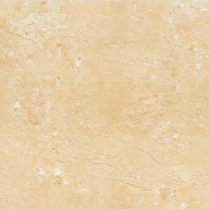 Gạch lát sàn Trường Thịnh TT96032